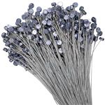 3/8" Lead Meter Seals with Stainless Wires 12"